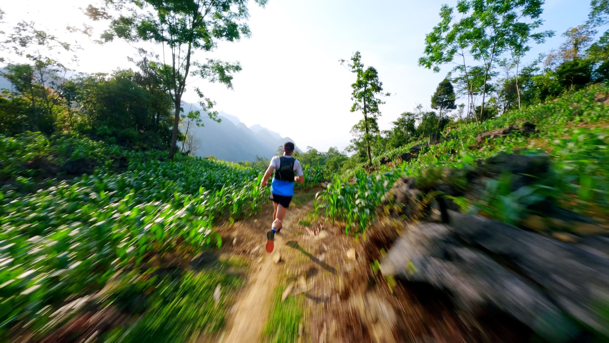 Beginner 50km Ultra